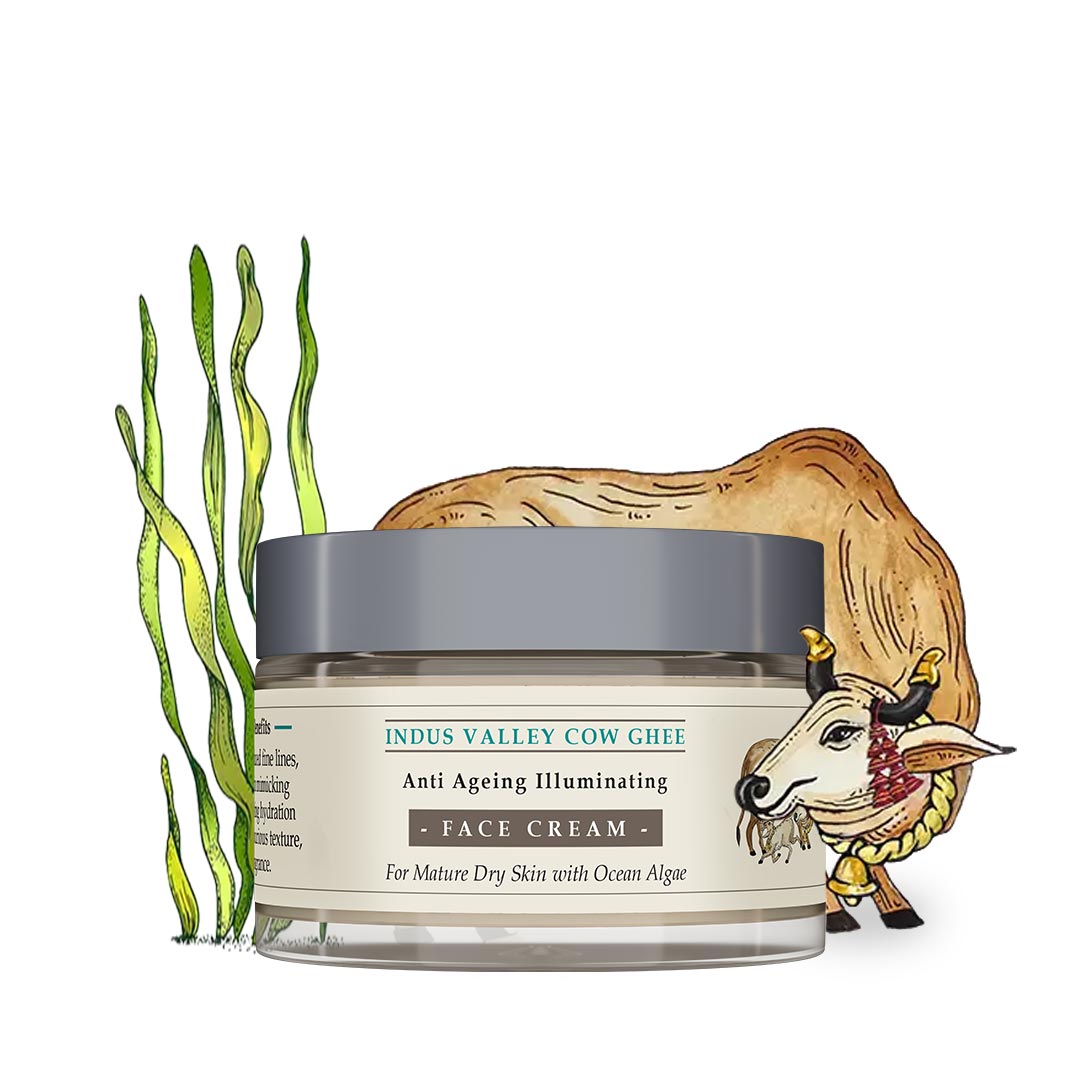 Indus Valley Cow Ghee Anti Ageing Face Cream For Dry Skin